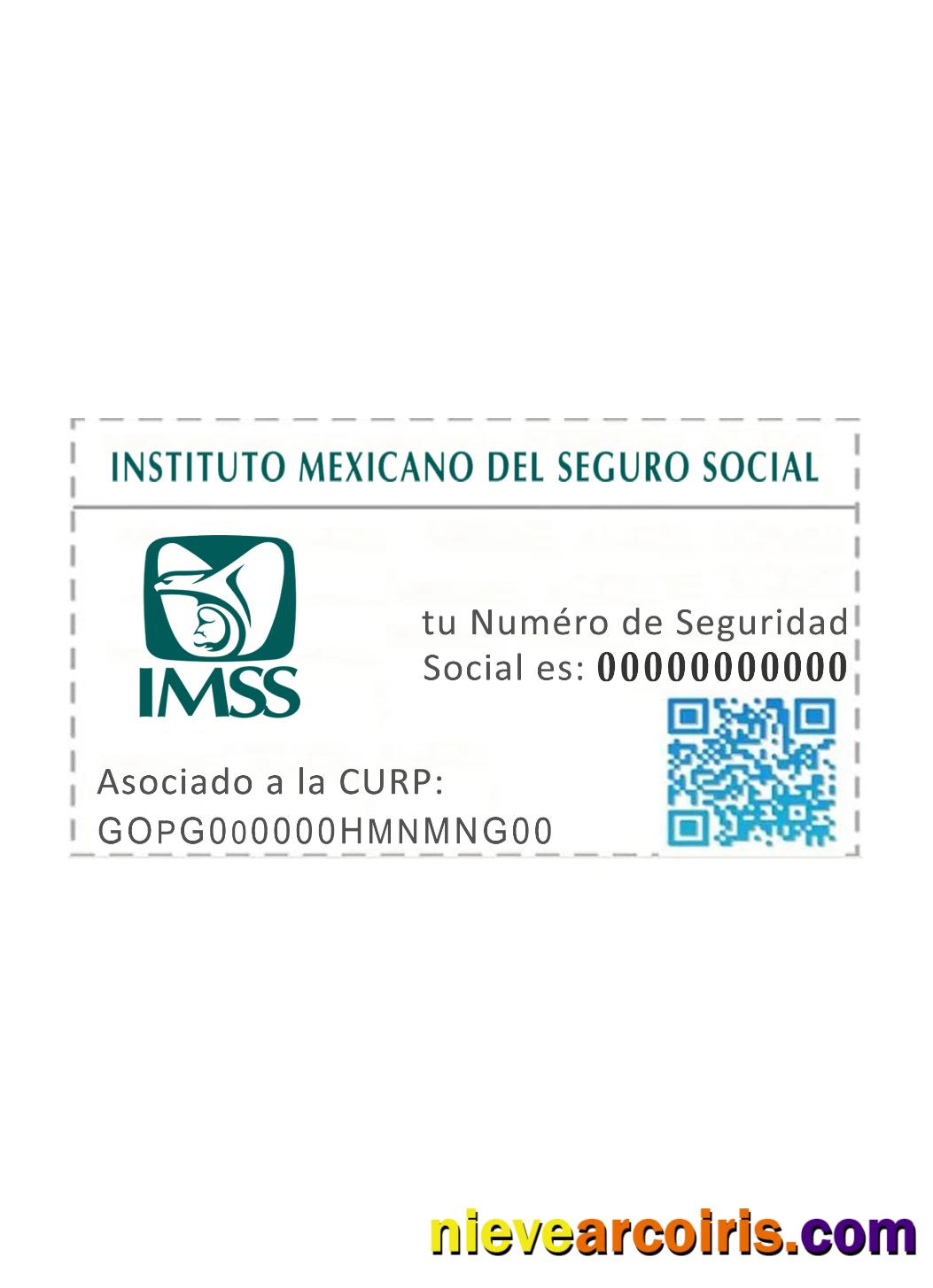 Mexico NSS card